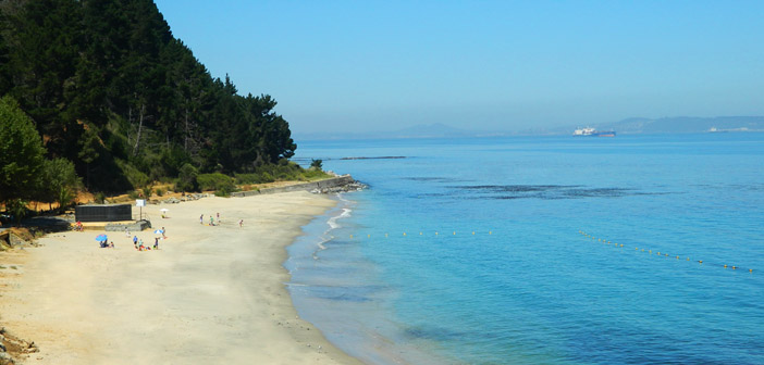 Playa en Punta de Parra